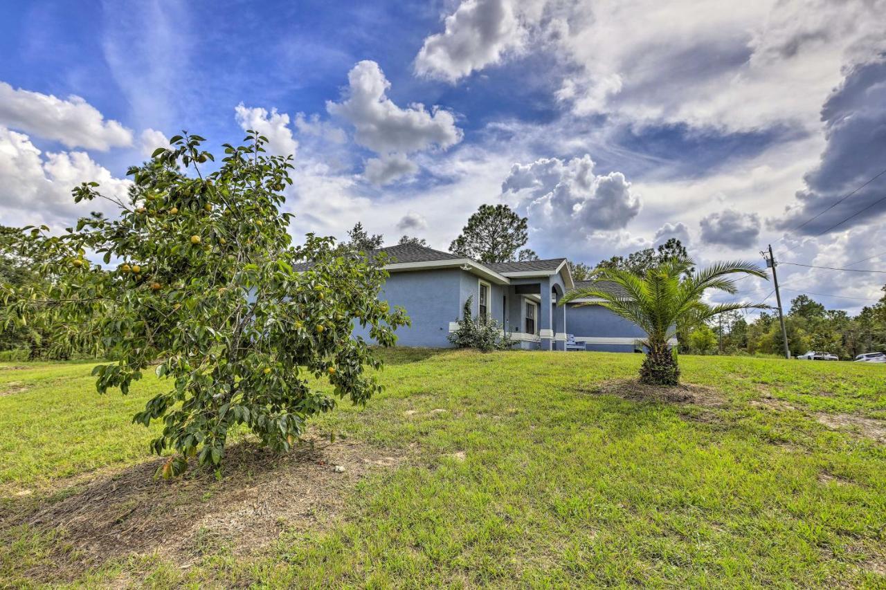 Ocala Casa Azul 7 Mi To World Equestrian Center Villa Buitenkant foto